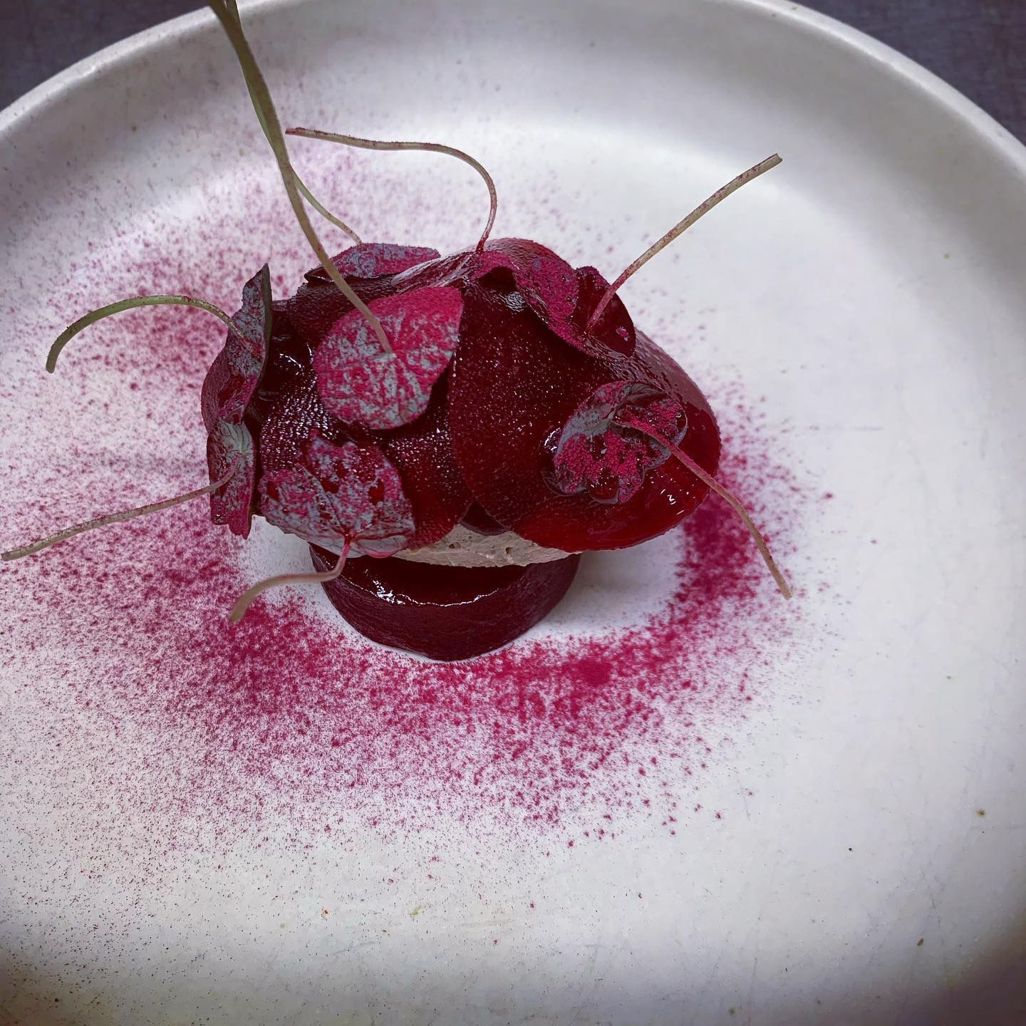 A garden plate from the kitchen